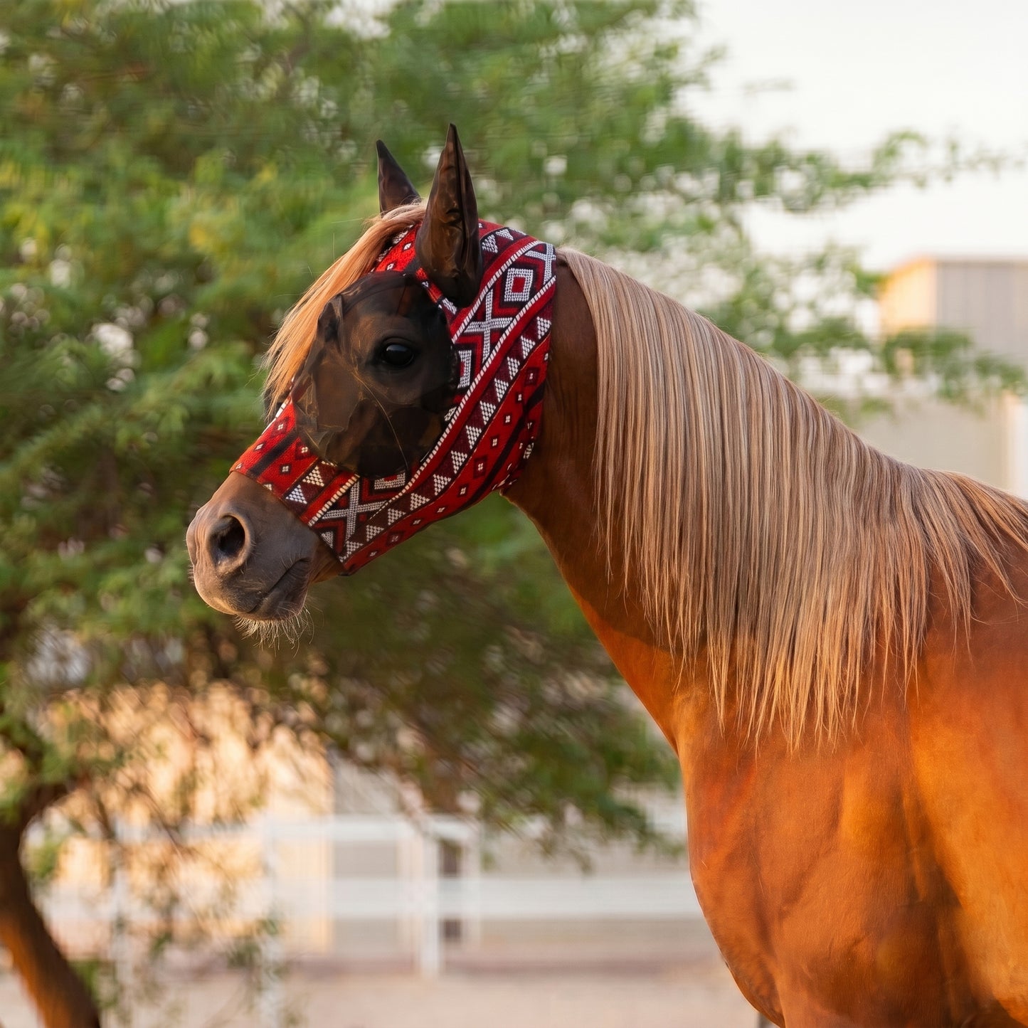 قناع السدو الملكي 👑